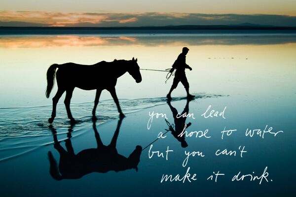 You Can Bring A Horse To Water, But You Can’t Make Him Drink It
